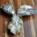 Whitstable Pacific Oysters (S-XL)