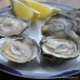 Helford Native Oysters (S-L)