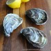 Jersey Pacific Oysters (M)