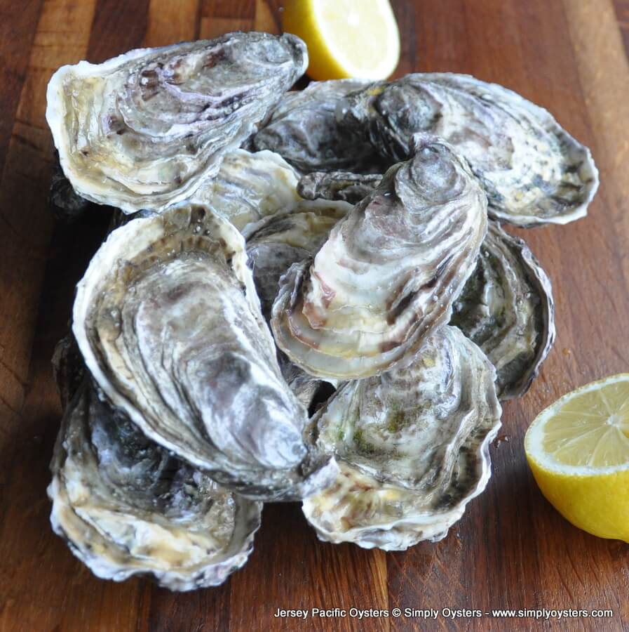 Jersey Oysters Buy Online UK Delivery Simply Oysters