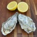 Jersey Pacific Oysters (M)