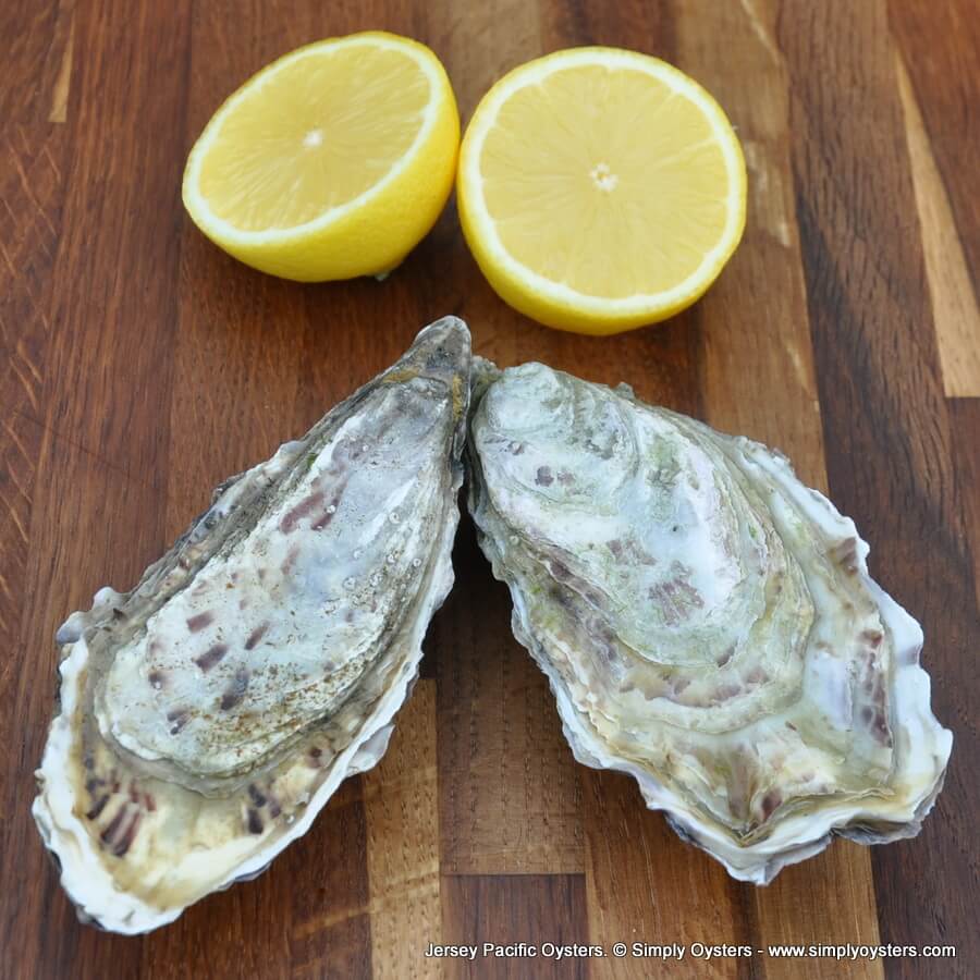 Jersey Oysters Buy Online UK Delivery Simply Oysters