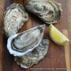 All Oysters