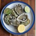 Maldon Wild Pacific Oysters (M-L)