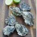 Poole Pacific Oysters (S-M)