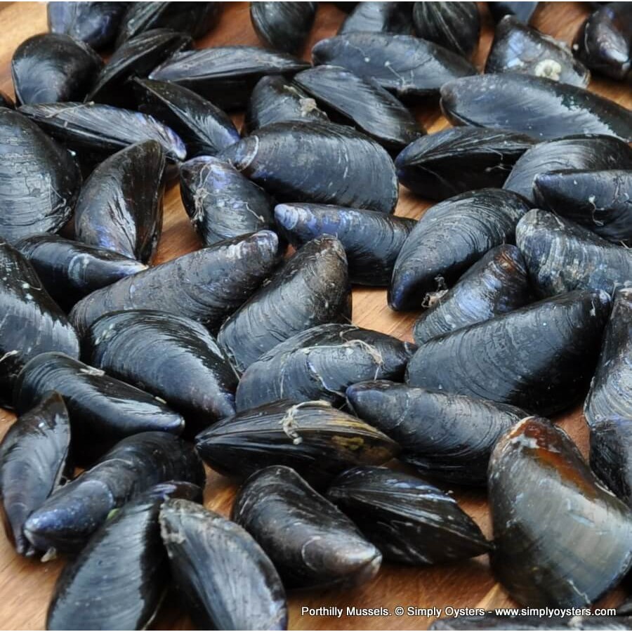 Porthilly Mussels (M-L)