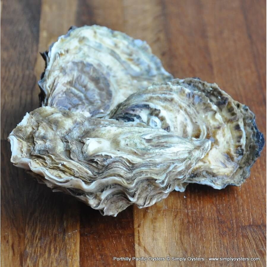 Porthilly Pacific Oysters (XS-L)