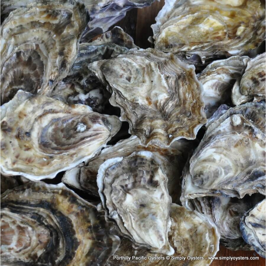 Simply Oysters UK's Widest Selection of Oysters UK Delivery